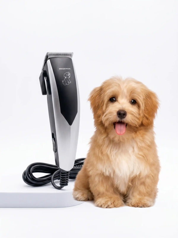 Dog grooming trimmer next to a small dog on a white background